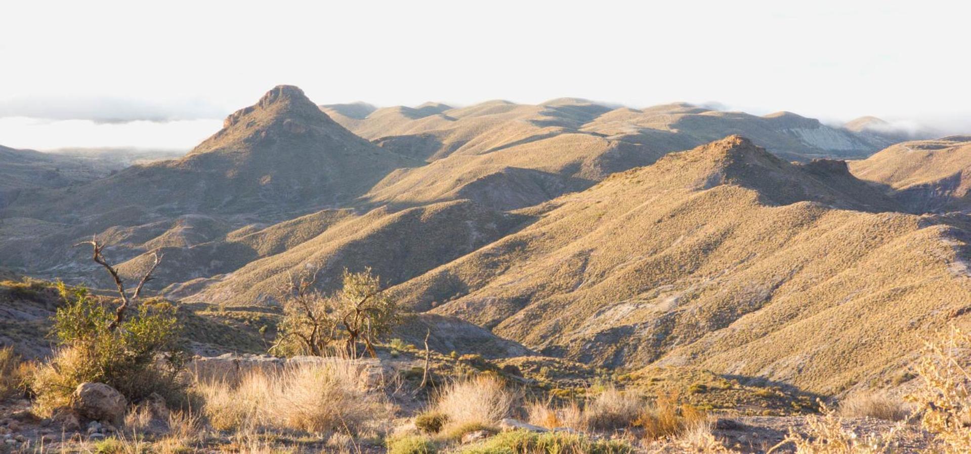 Cortijo El Albaricoque De La Sierra - Finca De 75 Hectareas ! Níjar Eksteriør bilde